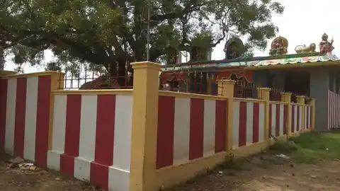 Arulmigu Pudradi Mariyamman Temple, Aharadhanur - 609302 அருள்மிகு புற்றடி மாரியம்மன் திருக்கோயில், Agara Athanur - 609302, Mayiladuthurai - Ancient Temple Architecture and History Image 5