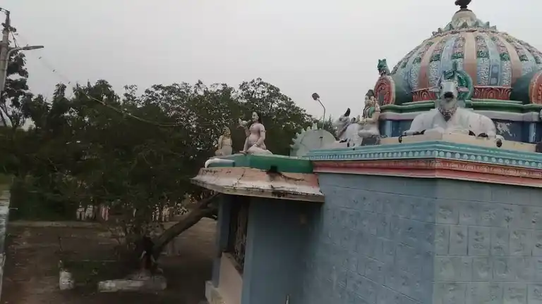 Arulmigu Pudugaikaattu Ayyanar Temple, Melapputhuvayal - 622502 அருள்மிகு புதுகை காட்டு அய்யனார் திருக்கோயில், Melapputhuvayal - 622502, Pudukkottai - Ancient Temple Architecture and History Image 5