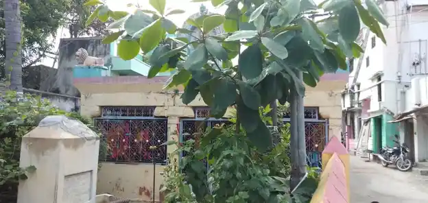 Arulmigu Pudur Mariamman Temple, Dharmapuri - 636701 அருள்மிகு புதூர் மாரியம்மன் திருக்கோயில், Dharmapuri - 636701, Dharmapuri - Ancient Temple Architecture and History Image 4