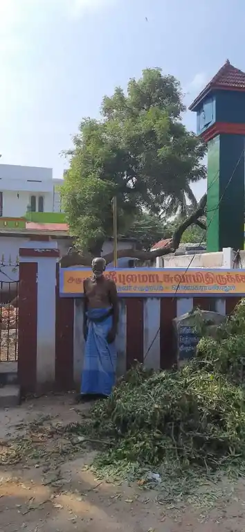 Arulmigu Pulamaadansamy Temple, Near Bus Stop, Chenbagaramanputhoor - 629304 Arulmigu Pulamaadansamy Temple, Near Bus Stop, Chenbagaramanputhoor - 629304, Kanyakumari - Ancient Temple Architecture and History Image 2