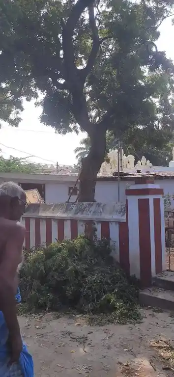 Arulmigu Pulamaadansamy Temple, Near Bus Stop, Chenbagaramanputhoor - 629304 Arulmigu Pulamaadansamy Temple, Near Bus Stop, Chenbagaramanputhoor - 629304, Kanyakumari - Ancient Temple Architecture and History Image 4