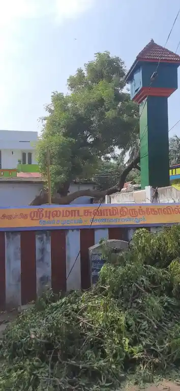 Arulmigu Pulamaadansamy Temple, Near Bus Stop, Chenbagaramanputhoor - 629304 Arulmigu Pulamaadansamy Temple, Near Bus Stop, Chenbagaramanputhoor - 629304, Kanyakumari - Ancient Temple Architecture and History Image 5