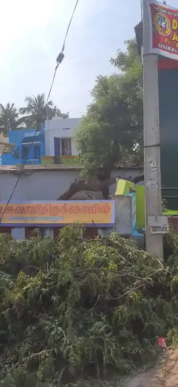 Arulmigu Pulamaadansamy Temple, Near Bus Stop, Chenbagaramanputhoor - 629304 Arulmigu Pulamaadansamy Temple, Near Bus Stop, Chenbagaramanputhoor - 629304, Kanyakumari - Ancient Temple Architecture and History Image 6