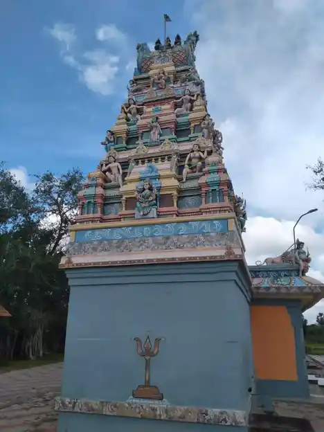 Arulmigu Pulikkutthi Amman Temple, Sengamaari - 622202 அருள்மிகு புலிகுத்திஅம்மன் திருக்கோயில், செங்கமாரி, அறந்தாங்கி வட்டம் - 622202, Pudukkottai - Ancient Temple Architecture and History Image 8