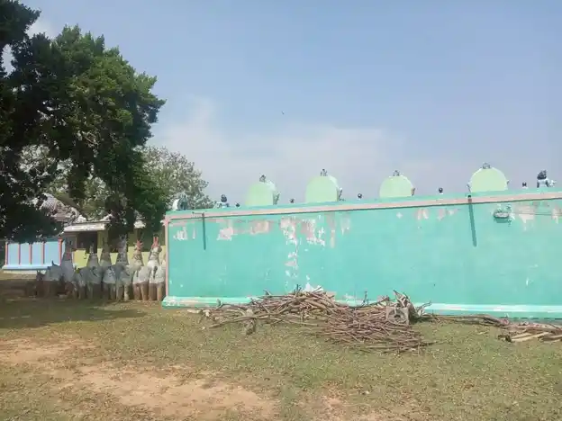 Arulmigu Pulikkutti Ayyanar Temple, Biramanavayal - 614630 அருள்மிகு புலிகுட்டி அய்யனார் திருக்கோயில், Biramanavayal - 614630, Pudukkottai - Ancient Temple Architecture and History Image 5