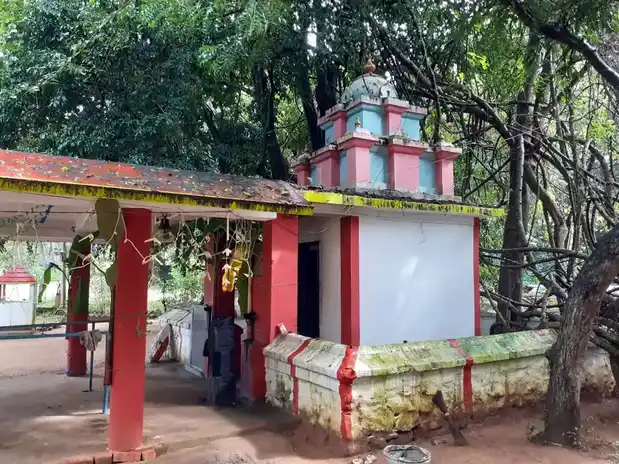 Arulmigu Pulipparai Krishnaswamy Temple, Kuzhithurai, Vilvancode - 629167 Temple
