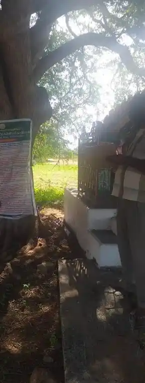 Arulmigu Puliyampatti Kannimaar Temple, Puliyampatty - 624706 அருள்மிகு புளியம்பட்டி கன்னிமார் திருக்கோயில், Puliyampatty - 624706, Dindigul - Ancient Temple Architecture and History Image 2