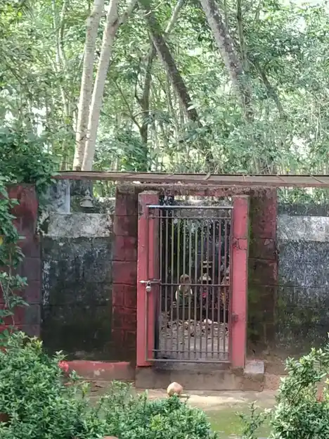 Arulmigu Puliyarai Kandan Sastha Temple, Muttaikkadu - 629175 Temple