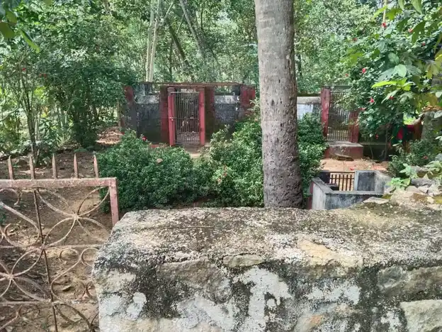 Arulmigu Puliyarai Kandan Sastha Temple, Muttaikkadu - 629175 Arulmigu Puliyarai Kandan Sastha Temple, Muttaikkadu - 629175, Kanyakumari - Ancient Temple Architecture and History Image 2