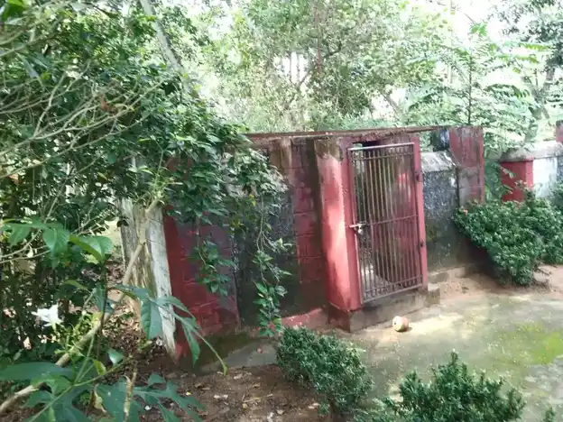 Arulmigu Puliyarai Kandan Sastha Temple, Muttaikkadu - 629175 Arulmigu Puliyarai Kandan Sastha Temple, Muttaikkadu - 629175, Kanyakumari - Ancient Temple Architecture and History Image 3