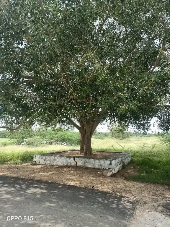 Arulmigu Pullanoothu Kannimaar Temple, Pullanoothu - 624711 அருள்மிகு புல்லனூத்து கன்னிமார் கோயில், Pullanoothu - 624711, Dindigul - Ancient Temple Architecture and History Image 4