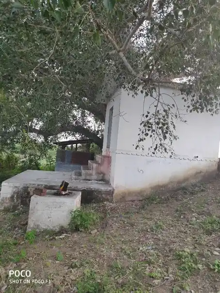 Arulmigu Pungamudaiyar Temple, Nagaram - 627755 அருள்மிகு புங்கமுடைஅய்யனார் திருக்கோயில், Nagaram - 627755, Tenkasi - Ancient Temple Architecture and History Image 5