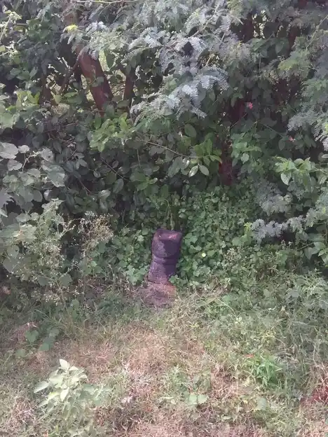 Arulmigu Punnaimarathuayyanar Temple, Ramagowndanpatti - 625022