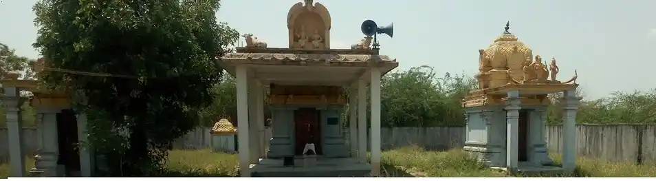 Arulmigu Punnaivananathar Temple, Maanalur - 611104 அருள்மிகு புன்னைவனநாதர் திருக்கோயில், மாணலூர் - 611104, Nagapattinam - Ancient Temple Architecture and History Image 2