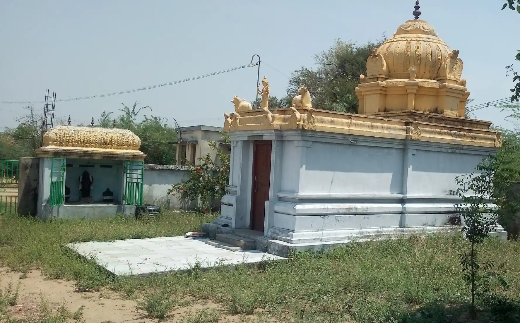 Arulmigu Punnaivananathar Temple, Maanalur - 611104 அருள்மிகு புன்னைவனநாதர் திருக்கோயில், மாணலூர் - 611104, Nagapattinam - Ancient Temple Architecture and History Image 4