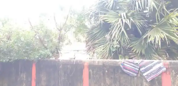 Arulmigu Punniyakotteswarar Temple, Kizhpudhupakkam - 604407 அருள்மிகு புண்ணியகோட்டீஸ்வரர் திருக்கோயில், Kizhpudhupakkam - 604407, Tiruvannamalai - Ancient Temple Architecture and History Image 4