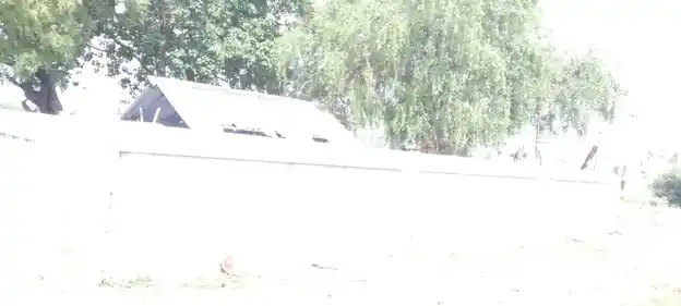 Arulmigu Punuhu Karupannaswamy Temple, Arasapillaipatti - 624619 அருள்மிகு புனுகு கருப்பணசாமி கோயில், Arasapillaipatti - 624619, Dindigul - Ancient Temple Architecture and History Image 5