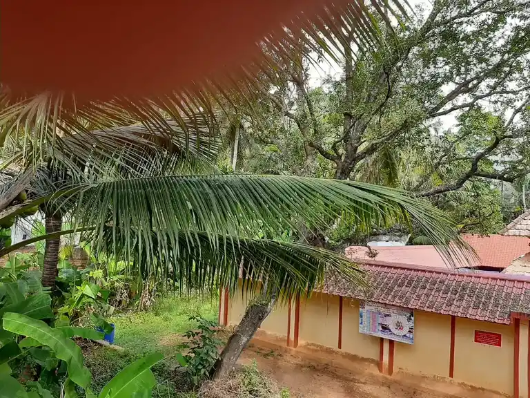 Arulmigu Puranthagaeswarar Temple, Thenkaipattanam, Amsi - 629173 அருள்மிகு புராந்தக ஈஸ்வரர் திருக்கோயில், Thenkaipattanam, Amsi - 629173, Kanyakumari - Ancient Temple Architecture and History Image 2