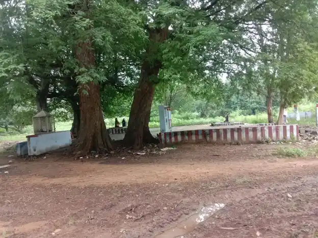 Arulmigu Purasambarai Karuppanasamy Temple, Samanthapuram - 626117 அருள்மிகு புரசம்பாறை கருப்பணசுவாமி திருக்கோயில், சம்மந்தபுரம் - 626117, Virudhunagar - Ancient Temple Architecture and History Image 3