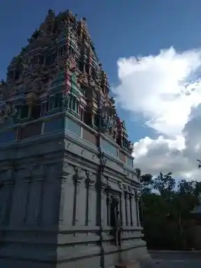 Arulmigu Purathanapureeswarar Temple, Palangarai, Alangudi Taluk - 622301 அருள்மிகு புராதனபுரீஸ்வரர் திருக்கோயில், பழங்கரை, ஆலங்குடி வட்டம் - 622301, Pudukkottai - Ancient Temple Architecture and History Image 2