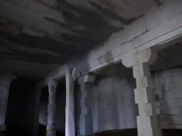 Arulmigu Puravelinathar Temple, Veeravanallur - 627414 அருள்மிகு புறவேலிநாதர் திருக்கோயில், வீரவநல்லூர் - 627414, Tirunelveli - Ancient Temple Architecture and History Image 2