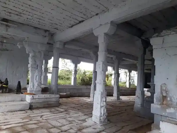 Arulmigu Puravelinathar Temple, Veeravanallur - 627414 அருள்மிகு புறவேலிநாதர் திருக்கோயில், வீரவநல்லூர் - 627414, Tirunelveli - Ancient Temple Architecture and History Image 3