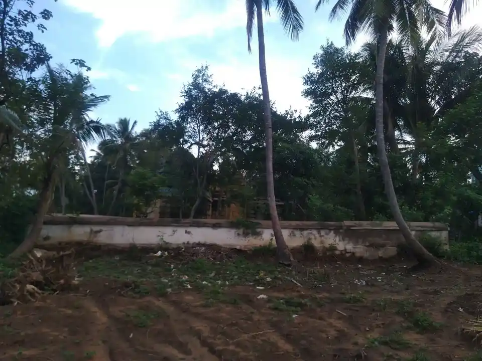 Arulmigu Pushpavaneswarar Temple, Varadharajapuram - 621215 Arulmigu Pushpavaneswarar Temple, Varadharajapuram - 621215, Thiruchirappalli - Ancient Temple Architecture and History Image 5