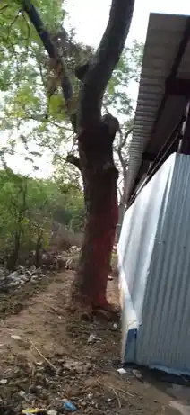 Arulmigu Puthiya Vazhavanthamman Temple, Manimoortheswaram, Manimoortheswaram - 627001 அருள்மிகு புதிய வாழவந்தம்மன் திருக்கோயில், மணிமூா்த்தீஷ்வரம், மணிமூா்த்தீஷ்வரம் - 627001, Tirunelveli - Ancient Temple Architecture and History Image 3