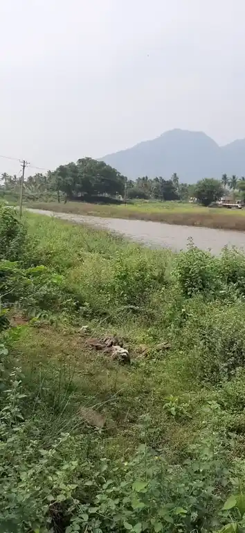 Arulmigu Puthukkulam Kannimar Temple, Chokkampatti - 625103 அருள்மிகு புதுக்குளம் கன்னிமார் கோயில், Chokkampatti - 625103, Madurai - Ancient Temple Architecture and History Image 2