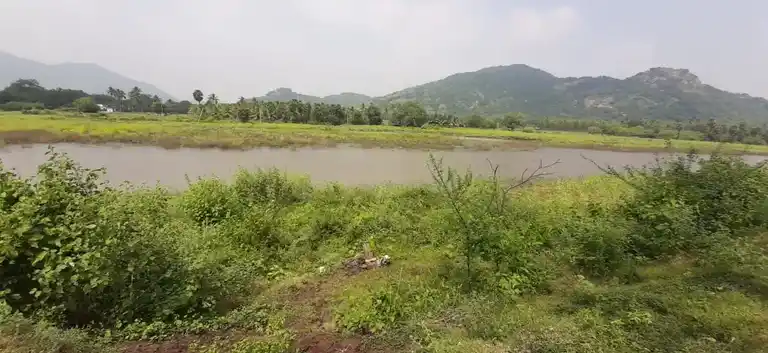 Arulmigu Puthukkulam Kannimar Temple, Chokkampatti - 625103 அருள்மிகு புதுக்குளம் கன்னிமார் கோயில், Chokkampatti - 625103, Madurai - Ancient Temple Architecture and History Image 5