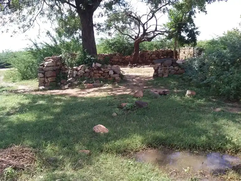 Arulmigu Puthukottai Ayyanar Temple, V.Periyapatti - 621303