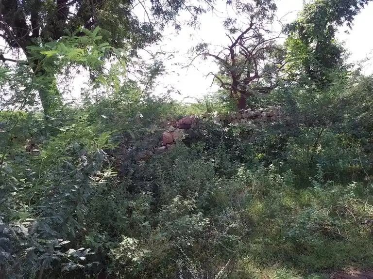 Arulmigu Puthukottai Ayyanar Temple, V.Periyapatti - 621303 Arulmigu Puthukottai ayyanar Temple, V.Periyapatti - 621303, Thiruchirappalli - Ancient Temple Architecture and History Image 2