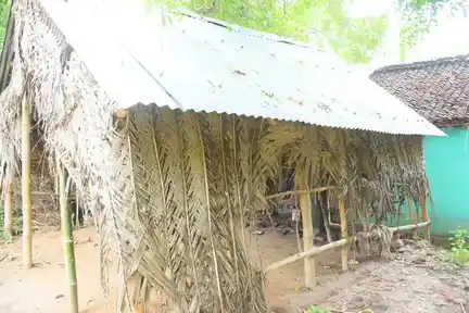 Arulmigu Puthukudi Pillaiyar Temple, Aattukkal Madapuram, Aattukkal Madapuram - 609117 அருள்மிகு புதுக்குடி பிள்ளையார் ஆலயம், Aattukkal Madapuram, Aattukkal Madapuram - 609117, Mayiladuthurai - Ancient Temple Architecture and History Image 4