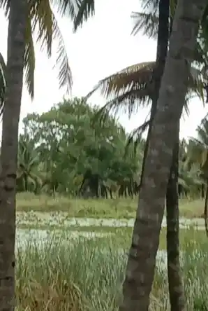 Arulmigu Puthukulam Kandan Sastha Temple, Saattaiyadikulam - 629601
