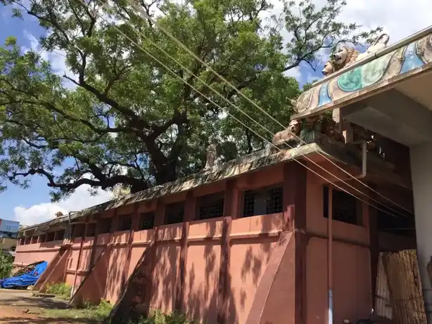 Arulmigu Puthumariyamman Temple, Kurinjipadi - 607302 அருள்மிகு புத்துமாரியம்மன் திருக்கோயில், குறிஞ்சிப்பாடி - 607302, Cuddalore - Ancient Temple Architecture and History Image 6