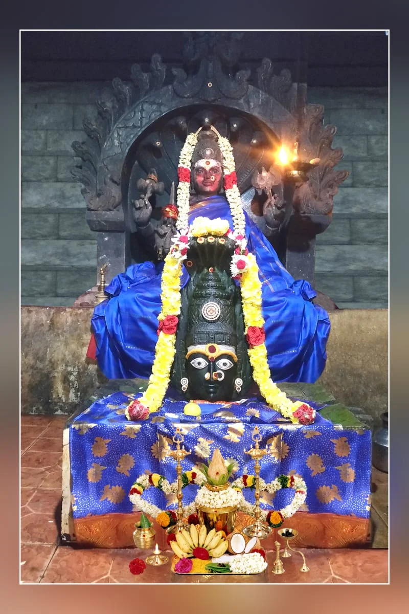 Arulmigu Puthuvaiyamman Temple, Koliyanur - 605103 அருள்மிகு புத்துவாயம்மன் திருக்கோயில், கோலியனூர் - 605103, Viluppuram - Ancient Temple Architecture and History Image 10