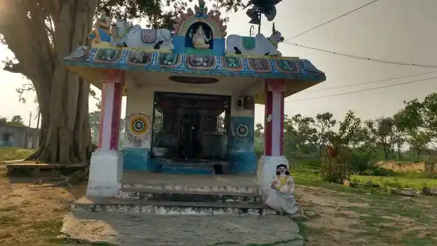 Arulmigu Puthuvayal Kaattoorani Pillaiyar Temple, Puthur - 622103 அருள்மிகு புதுவயல் காட்டூரனி பிள்ளையார் திருக்கோயில், Puthur - 622103, Pudukkottai - Ancient Temple Architecture and History Image 5