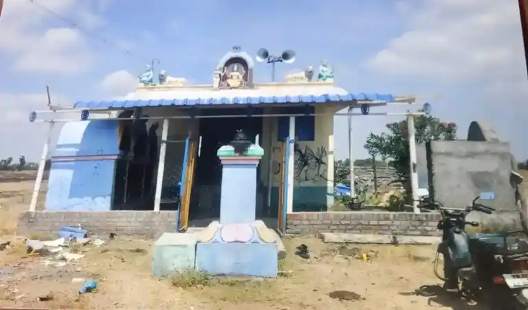 Arulmigu Putradi Mariyamman Temple, Pattimar - 614705 புற்றடி மாரியம்மன் திருக்கோயில், Pattimar - 614705, Thiruvarur - Ancient Temple Architecture and History Image 3