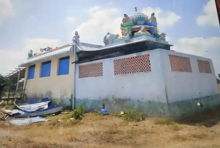 Arulmigu Putradi Mariyamman Temple, Pattimar - 614705 புற்றடி மாரியம்மன் திருக்கோயில், Pattimar - 614705, Thiruvarur - Ancient Temple Architecture and History Image 4