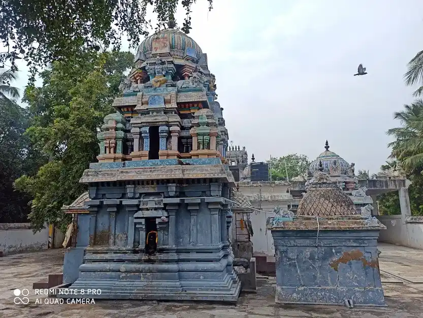Arulmigu Putridamkondeswarar,Temple, Puthur - 614402 அருள்மிகு புற்றிடங்கொண்டீஸ்வரர் திருக்கோயில், Puthur - 614402, Thanjavur - Ancient Temple Architecture and History Image 3