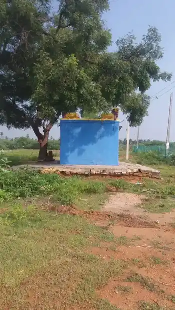 Arulmigu Putru Mariyamman Temple, Kannamangalam - 632301 அருள்மிகுபுற்றுமாரியம்மன் திருக்கோயில், Kannamangalam - 632301, Tiruvannamalai - Ancient Temple Architecture and History Image 4