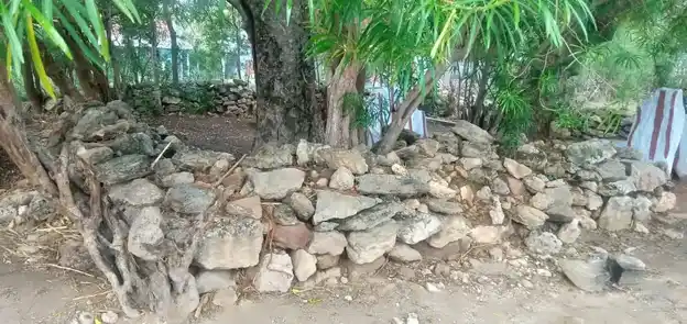 Arulmigu Putthadi Ranganathar Temple, Uralpatti - 642204 அருள்மிகு புத்தடி ரங்கநாதர் திருக்கோயில், Uralpatti - 642204, Tiruppur - Ancient Temple Architecture and History Image 4