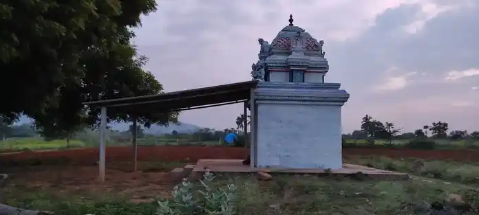 Arulmigu Ragupathi Narayanapperumal Temple, Thondamanginam - 621313