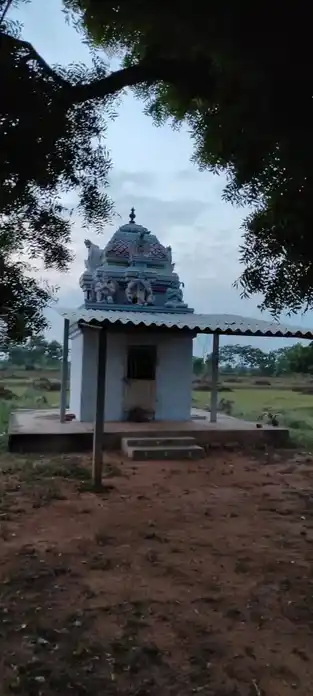 Arulmigu Ragupathi Narayanapperumal Temple, Thondamanginam - 621313 அருள்மிகு ரகுபதி நாராயணப்பெருமாள் திருக்கோயில், Thondamanginam - 621313, Karur - Ancient Temple Architecture and History Image 2