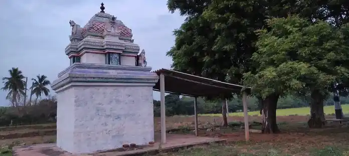 Arulmigu Ragupathi Narayanapperumal Temple, Thondamanginam - 621313 அருள்மிகு ரகுபதி நாராயணப்பெருமாள் திருக்கோயில், Thondamanginam - 621313, Karur - Ancient Temple Architecture and History Image 3