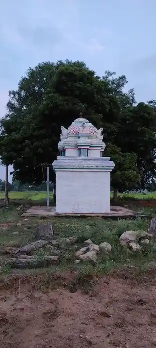 Arulmigu Ragupathi Narayanapperumal Temple, Thondamanginam - 621313 அருள்மிகு ரகுபதி நாராயணப்பெருமாள் திருக்கோயில், Thondamanginam - 621313, Karur - Ancient Temple Architecture and History Image 4