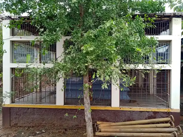 Arulmigu Raja Temple, Annur - 641653