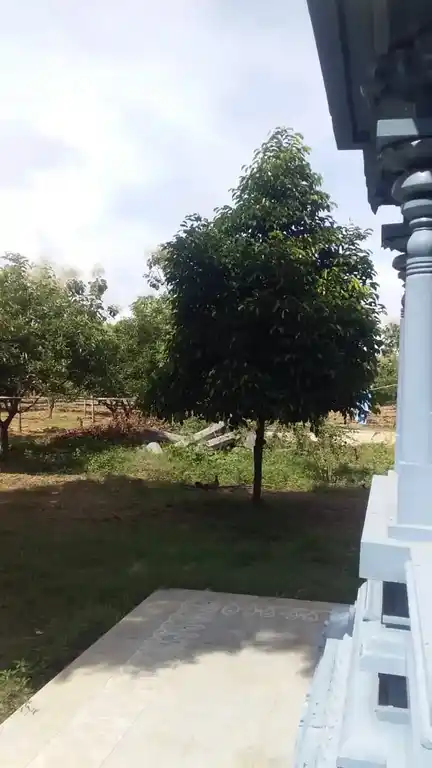 Arulmigu Rajaganapathi Temple, Vilvarayanatham, Cuddalore - 607001 அருள்மிகு ராஜகணபதி திருக்கோயில், Vilvarayanatham, Cuddalore - 607001, Cuddalore - Ancient Temple Architecture and History Image 3