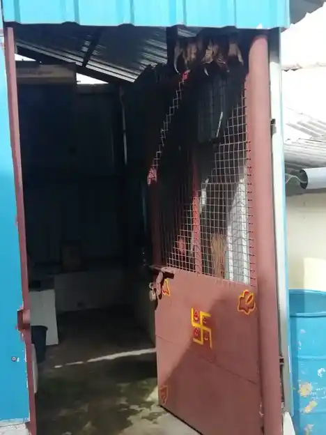 Arulmigu Rajaganapathy Temple, Jerina Kadu, Yercaud - 636601 அருள்மிகு இராஜகணபதி திருக்கோயில், Jerina Kadu, Yercaud - 636601, Salem - Ancient Temple Architecture and History Image 2