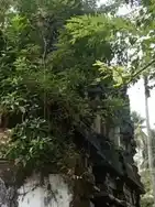 Arulmigu Rajagopala Swamy Temple, Bagavathapuram - 612105 அருள்மிகு இராஜகோபாலசுவாமி திருக்கோயில், Bagavathapuram - 612105, Thanjavur - Ancient Temple Architecture and History Image 4